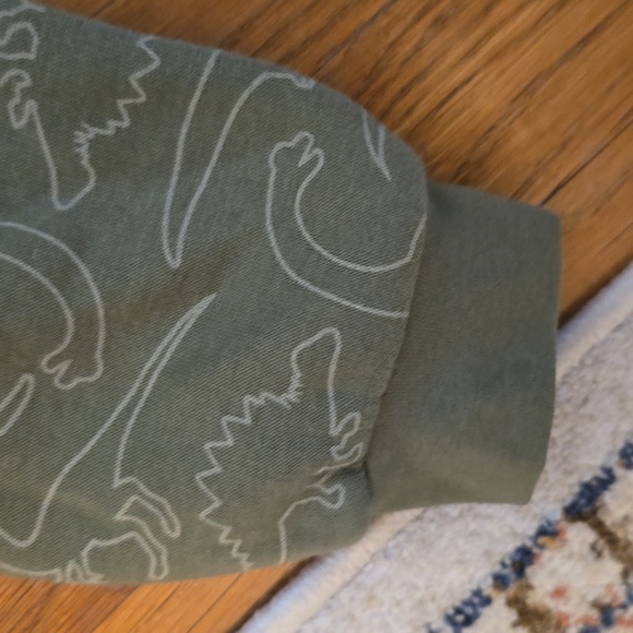 OKIE DOKIE TODDLER BOYS GREEN DINOSAUR ZIPPERED HOODIE SIZE 3T - Picture 7 of 8